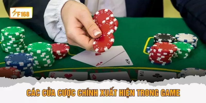 Các cửa cược chính xuất hiện trong game